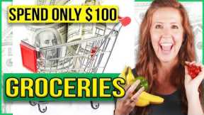 Grocery Budget: Under $100 Per Month [What I Spend On Food As A Millionaire]