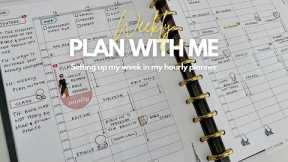 Weekly Planning in My Hourly Planner #vlogmas #day17