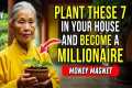 5 WEALTH Attracting Plants You Need