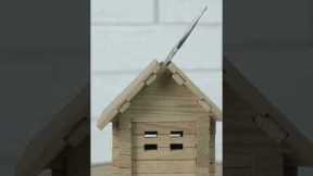 Wealth-Building Strategies for Beginners