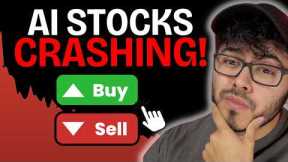 Is the AI Stock Market CRASH a Buying Opportunity?