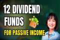 12 Dividend Funds to Watch if You