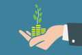The Basics of Investing (Stocks,